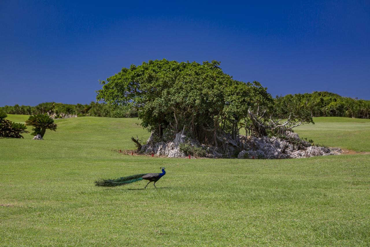 Villa Vorla Miyakojima  Kültér fotó